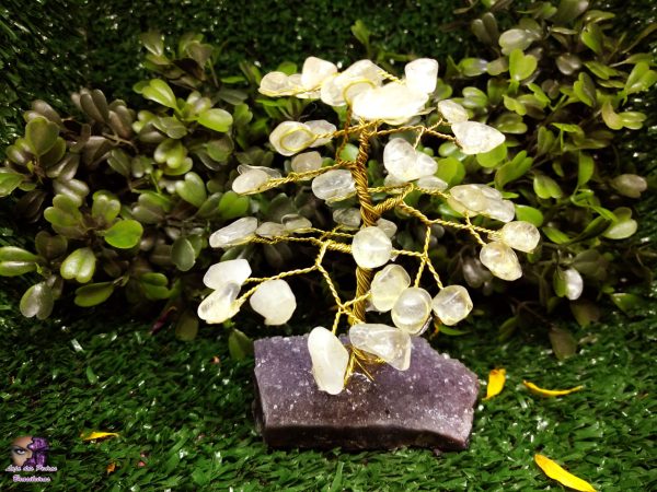 Árvore de Cristal Quartzo em Pedra Rolada (Base de Ametista)