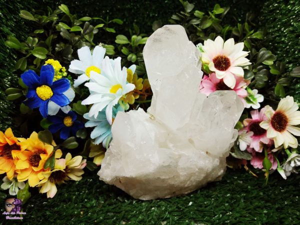 Conglomerado (Drusa) de Cristal Quartzo