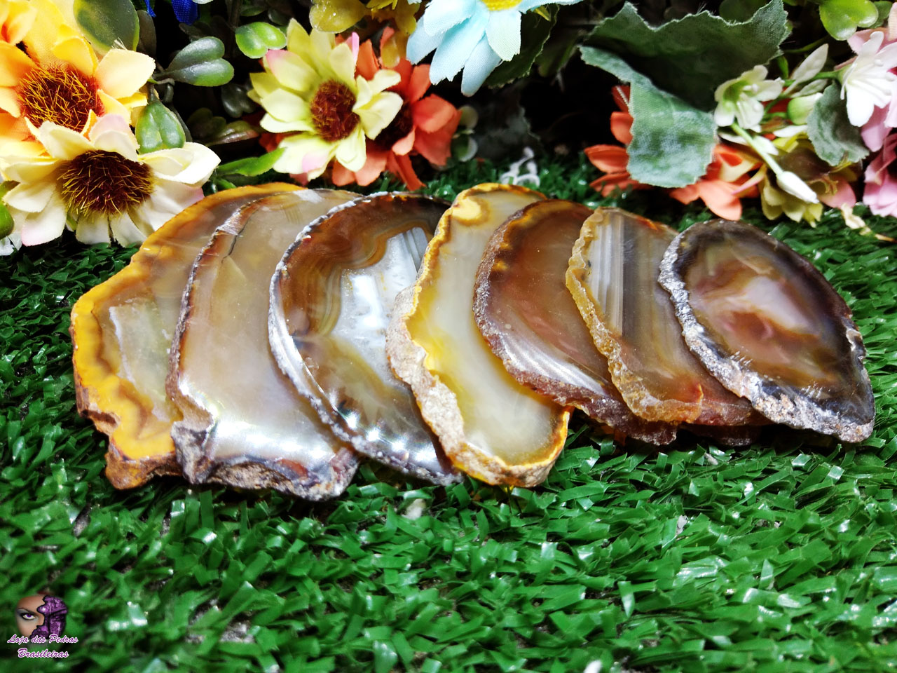 Kit de Chapa de Ágata Marrom Claro