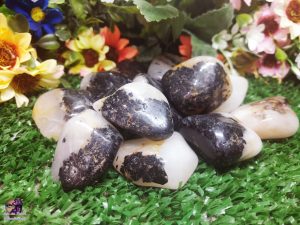 Kit de Pedra Rolada em Quartzo com Turmalina Negra