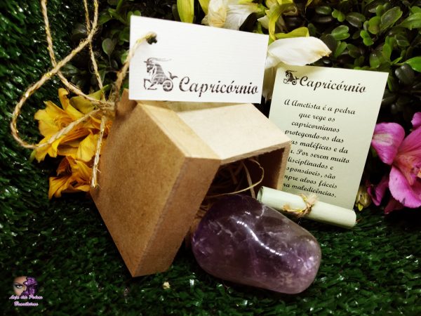 Pedra do Signo de Capricórnio  - Ametista